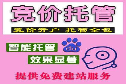 百度SEM代运营案例集锦：成功案例助力企业转型